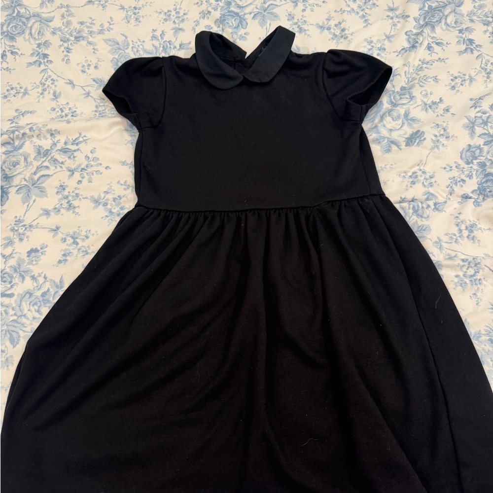 Polo by Ralph Lauren Black Peter Pan Collar Dress